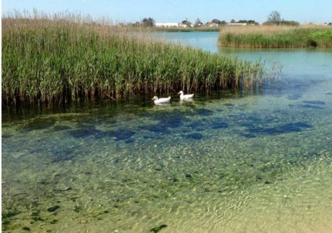 Villa Vacanza Salento Torre Chianca Zewnętrze zdjęcie